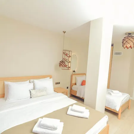 Hotel Zeyhouse